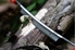 Immagine di COLTELLI 3360
